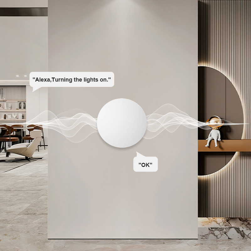ZigBee Smart Wireless Button S - огляд і ціна Home Office Google